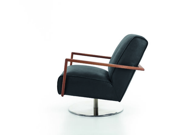 Icarus Product Image