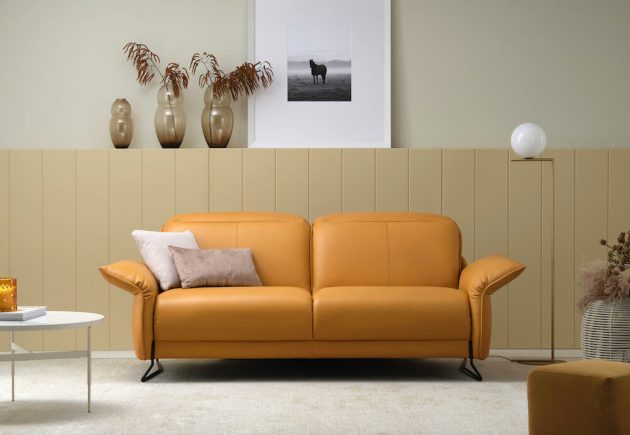 Vitis Product Image