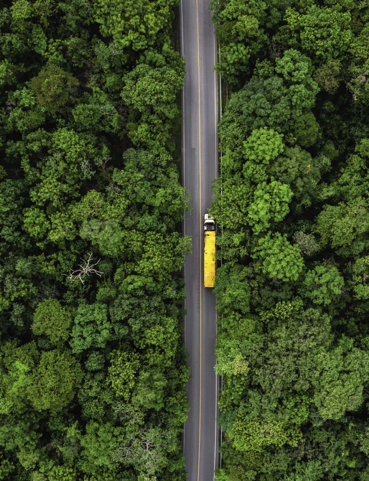 Bon Tempi Page Image