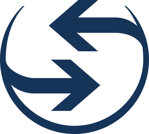 icon 2